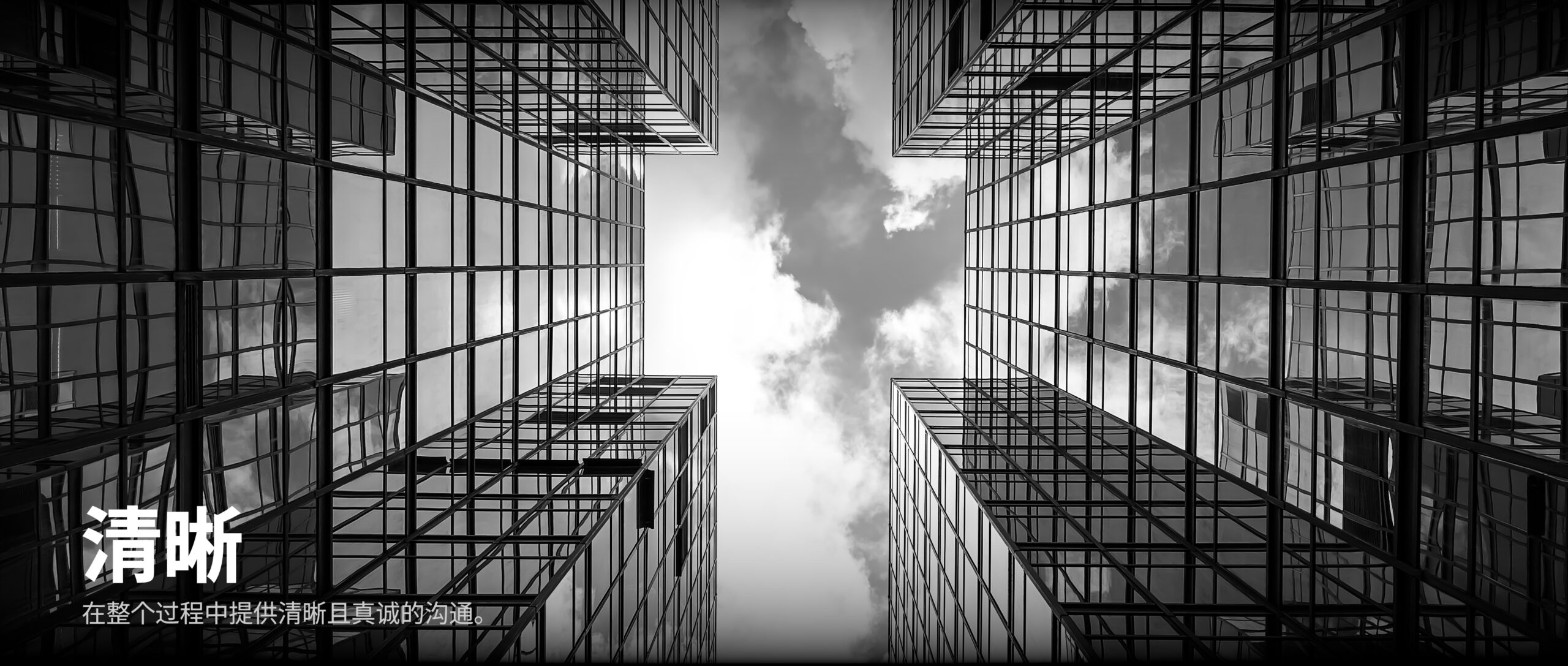 Transparencia_EDIT_ZN-v2
